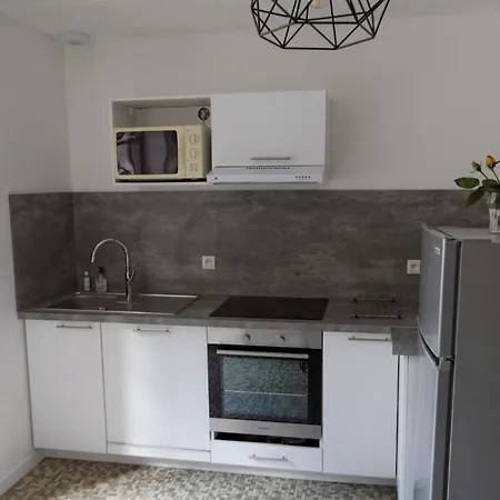 Jean Julien - Le Sancy - Wifi - 2 - 2 Salles D'eau - Rdc - 8 Personnes - Terrasse Lejlighed