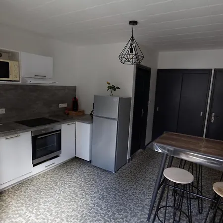 Lejlighed Jean Julien - Le Sancy - Wifi - 2 - 2 Salles D'eau - Rdc - 8 Personnes - Terrasse