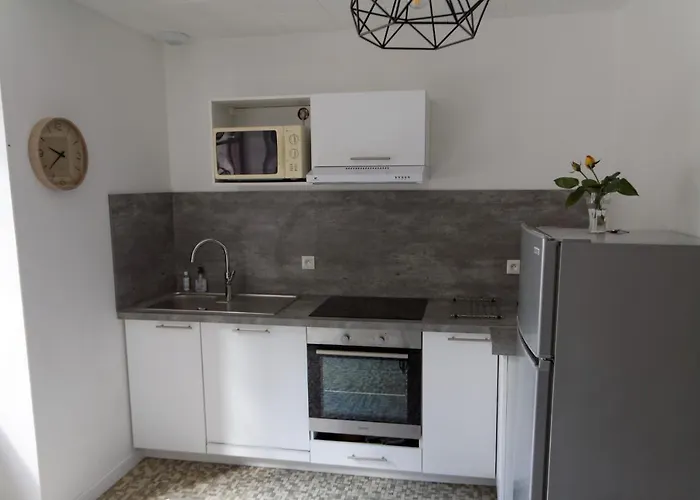 Jean Julien - Le Sancy - Wifi - 2 - 2 Salles D'eau - Rdc - 8 Personnes - Terrasse Appartement