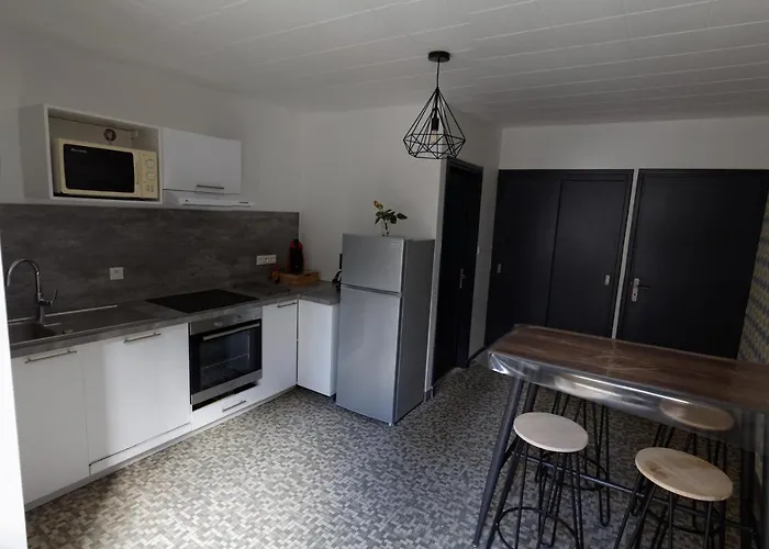 Appartement Jean Julien - Le Sancy - Wifi - 2 - 2 Salles D'eau - Rdc - 8 Personnes - Terrasse