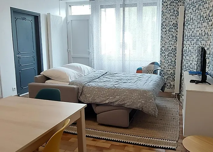 Jean Julien - Le Sancy - Wifi - 2 - 2 Salles D'eau - Rdc - 8 Personnes - Terrasse Appartement *